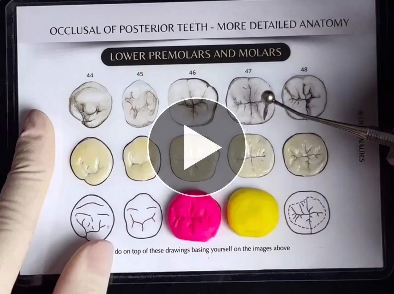 Mini Course: ToothSculpt PRO